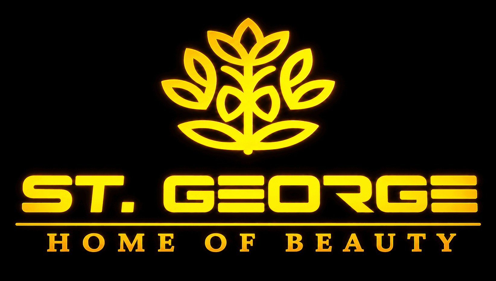 ST. GEORGE logo